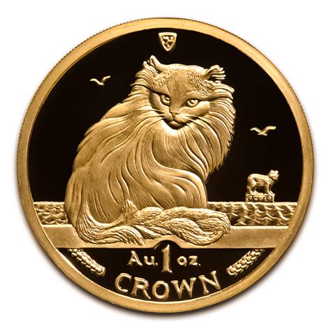Coin Cat Review 2024